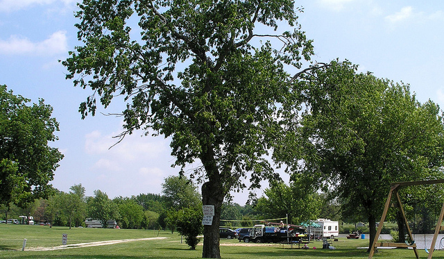 Camping 4