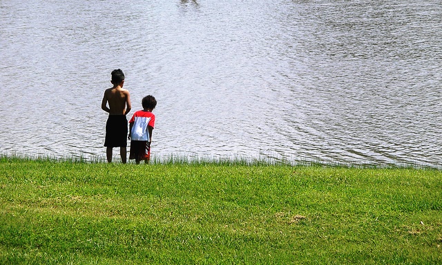 Looking at Turtles