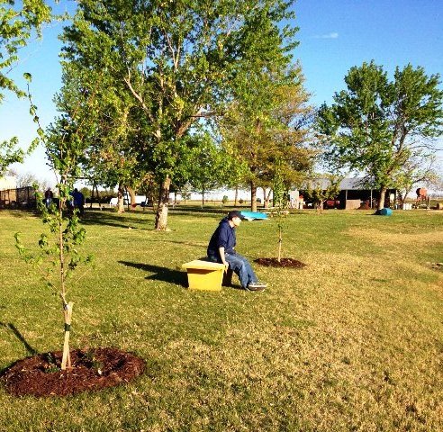 Tree Planting at 101 Club